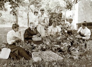 Early Relief Society sisters harvesting silk.